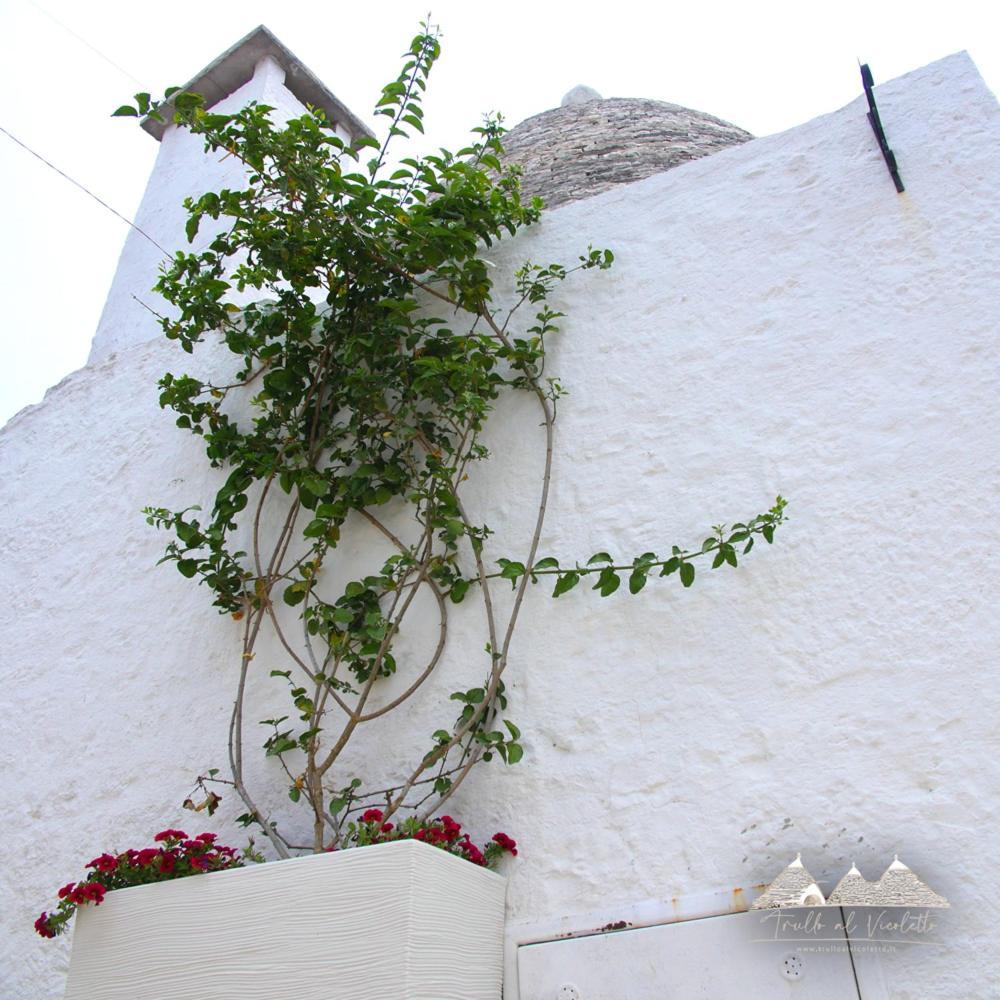 Villa Trullo Al Vicoletto Al Civico 10, Civico 8, Civico 7 Alberobello Exterior foto